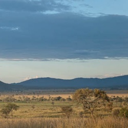 Panorámicas