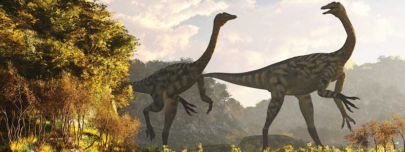 Deinocheirus