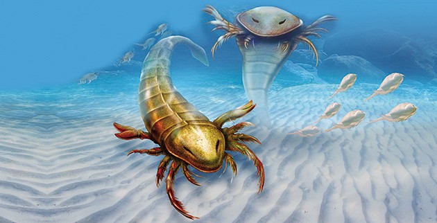 Pentecopterus decorahensis