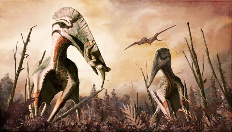 Reconstrucción de Hatzegopteryx. Imagen © Mark Witton